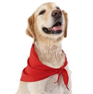 Doggles Insect Repellent Bandana