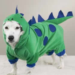 Halloween Costume - Dogzilla - Size Small