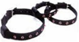 Lighted Safety Dog Collars Lighted Safety Dog Collars