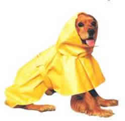 Puddles Dog Raincoat