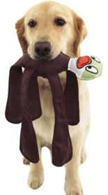 Pet Toys