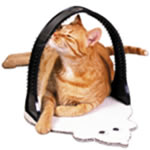Grooming Products